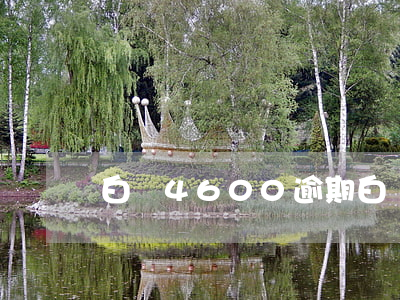 白條4600逾期(白條4600逾期)