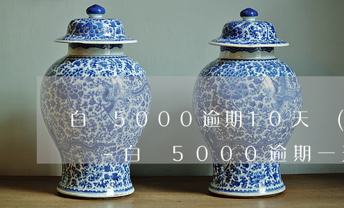 白條5000逾期10天會(huì)怎么樣-白條5000逾期一天違約金多少