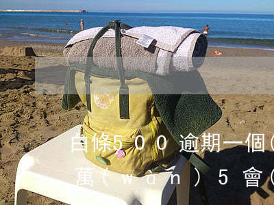 白條500逾期一個(gè)月（白條逾期一萬(wàn)5會(huì)被起訴嗎）