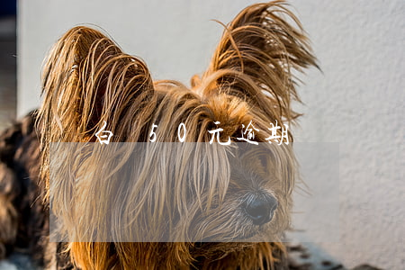 白條50元逾期