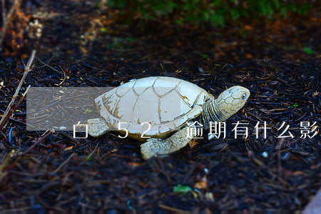 白條52塊逾期有什么影響