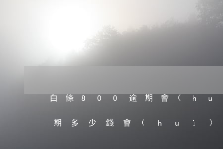 白條800逾期會(huì)起訴嗎(白條逾期多少錢會(huì)被起訴)