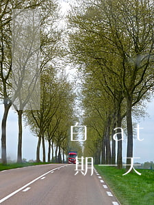 白條atm逾期了(白條取現(xiàn)逾期一天)