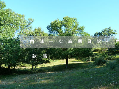 白條一次逾期貸款-白條一次逾期會影響貸款嗎