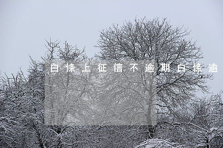 白條上征信不逾期(白條 逾期 征信)