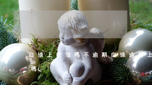 白條上征信嗎不逾期(白條逾期上征信是真的嗎)