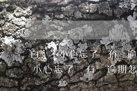 白條不小心忘了還有個逾期怎么辦-白條不小心忘了還有個逾期怎么辦呢