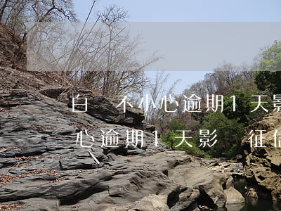 白條不小心逾期1天影響征信嗎-白條不小心逾期1天影響征信嗎怎么辦