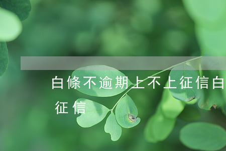 白條不逾期上不上征信(白條逾期為什么不上征信)