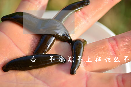 白條不逾期不上征信么(不還白條會上征信嗎)
