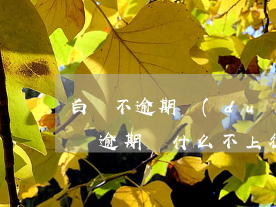 白條不逾期對(duì)征信有影響嗎-白條逾期為什么不上征信