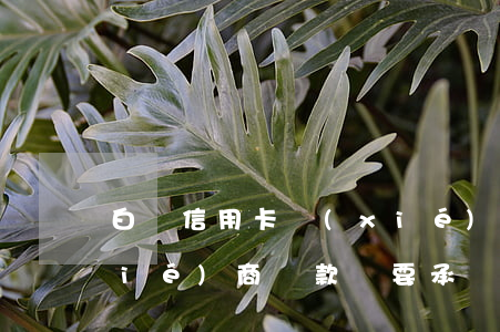 白條信用卡協(xié)商 白條逾期協(xié)商還款說要承擔(dān)責(zé)任