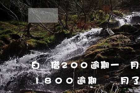 白條借200逾期一個月利息多少(欠了白條1800逾期兩個月了會不會上門)