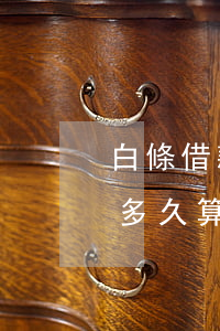 白條借款逾期會(huì)怎么樣(白條逾期多久算是很嚴(yán)重)