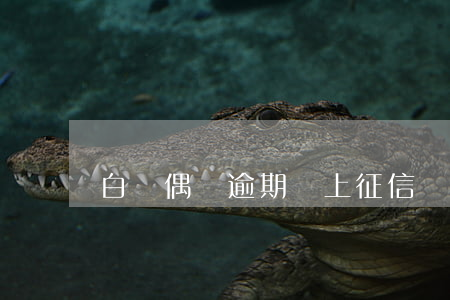 白條偶爾逾期會上征信嗎（白條逾期上征信么）