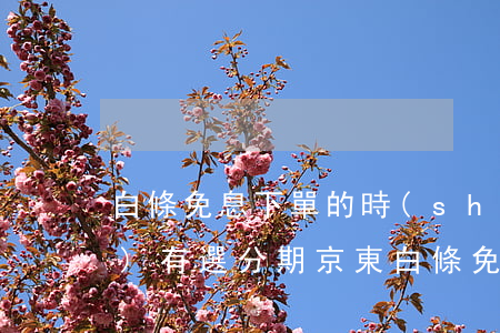 白條免息下單的時(shí)候沒(méi)有選分期 京東白條免息分期怎么變成不免息了