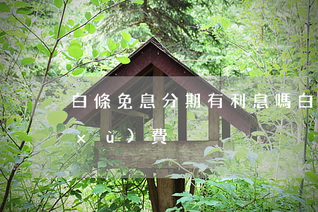 白條免息分期有利息嗎(白條免息不免手續(xù)費)