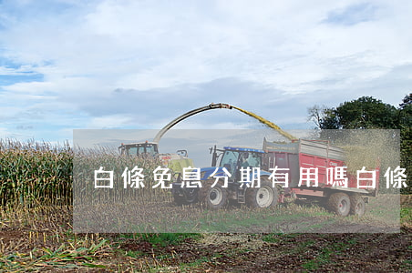 白條免息分期有用嗎(白條免息分期有用嗎)