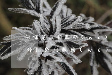 白條免息和服務(wù)費(fèi)（白條分期免息服務(wù)費(fèi)）