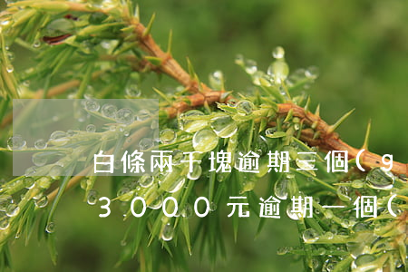 白條兩千塊逾期三個(gè)月-白條逾期3000元逾期一個(gè)月