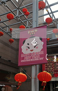 白條兩次連續(xù)逾期一天(白條逾期一個(gè)星期)