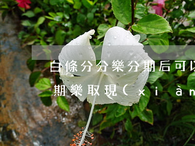 白條分分樂分期后可以提前還款嗎-白條分期樂取現(xiàn)