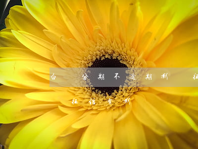 白條分期不逾期影響征信嗎-白條分期還款對征信有影響嗎