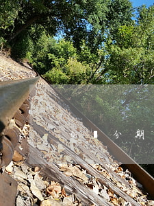 白條分期免息券(白條分期免息券)