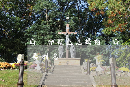 白條分期免息提前還 白條分期免息提前還款要利息嗎