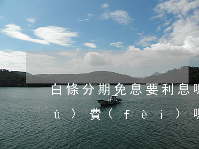 白條分期免息要利息嗎(白條分期收手續(xù)費(fèi)嗎)