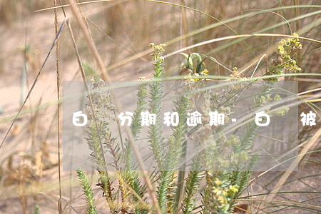 白條分期和逾期-白條被分期