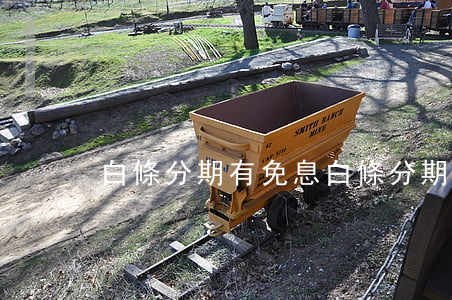 白條分期有免息(白條分期有免息券嗎)