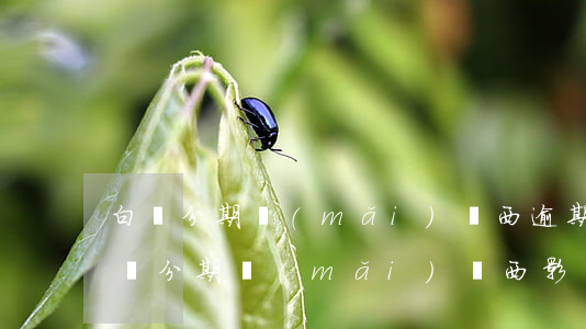 白條分期買(mǎi)東西逾期上征信么(白條分期買(mǎi)東西影響征信嗎)