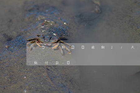白條分期賬單逾期21天-白條逾期可以分期付款嗎