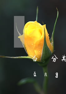 白條分期逾期了幾天-白條逾期多長(zhǎng)時(shí)間