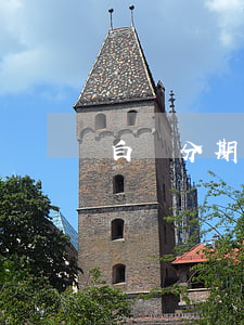 白條分期逾期兩年(白條分期逾期會提前終止嗎)