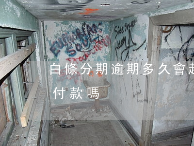 白條分期逾期多久會起訴(白條逾期可以分期付款嗎)