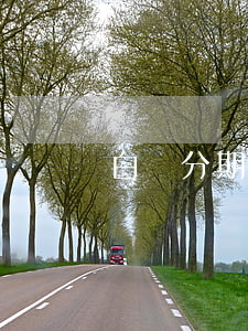 白條分期逾期會(huì)上征信嗎