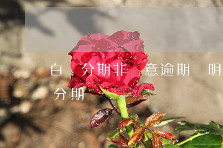白條分期非惡意逾期證明-白條過期了怎么分期