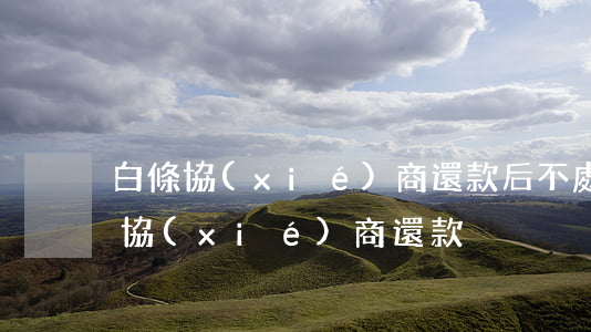 白條協(xié)商還款后不處理-秒白條協(xié)商還款