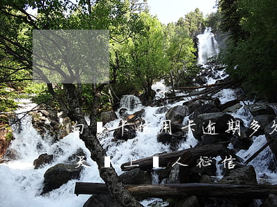 白條卡信用卡逾期多久上征信(白條逾期多少天會上個人征信)