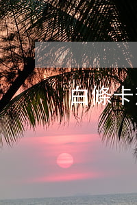 白條卡逾期(白條不小心逾期)