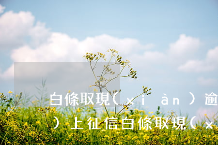 白條取現(xiàn)逾期一天會(huì)上征信(白條取現(xiàn)會(huì)上征信記錄嗎?)