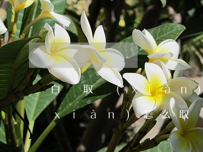 白條取現(xiàn)逾期利息 白條取現(xiàn)怎么取現(xiàn)要利息嗎