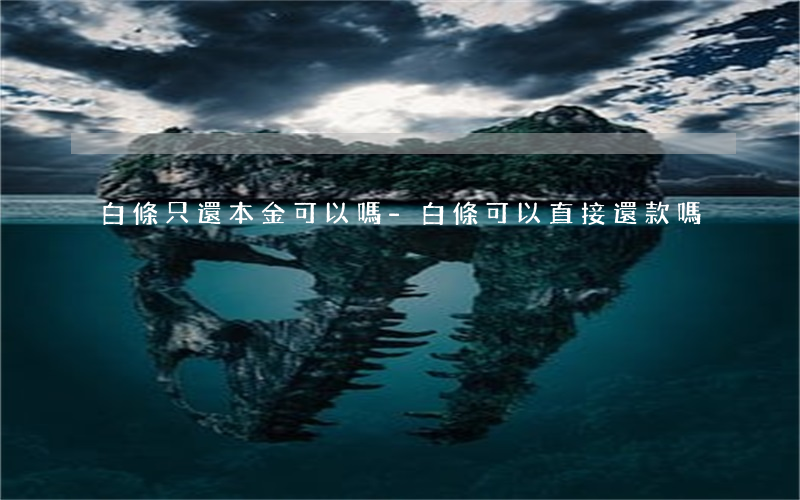 白條只還本金可以嗎-白條可以直接還款嗎