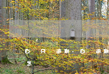 白條只還逾期-白條逾期不還會(huì)怎樣?