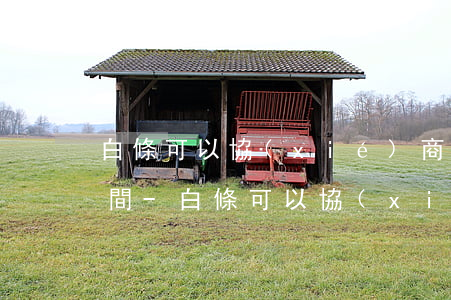 白條可以協(xié)商還款嗎因為疫情期間-白條可以協(xié)商還款嗎因為疫情期間逾期