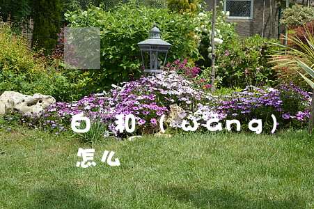 白條和網(wǎng)貸逾期了-白條逾期怎么樣