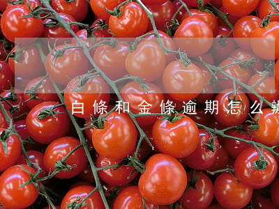 白條和金條逾期怎么辦（金條白條欠3w逾期）