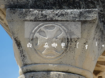 白條在哪申請(qǐng)逾期